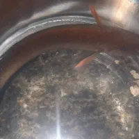 ماهی زینتی کمیاب