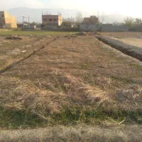 فروش زمین|فروش زمین و ملک کلنگی|آزادشهر, |دیوار