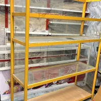 ویترین قفسه|فروشگاه و مغازه|مشهد, مقدم|دیوار