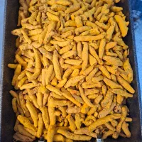 پخش عمده زردچوبه قلم و پودر