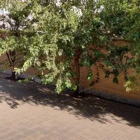 اجاره آپارتمان ۶۵ متری ۱ خوابه طبقه ۱ در طرشت|اجارهٔ آپارتمان|تهران, طرشت|دیوار