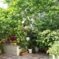 ۴۴ متری / یک خوابه / میرداماد شمال / سوئیت