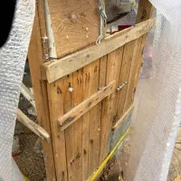 فروش عروس هلندی|پرنده|تهران, تاکسیرانی|دیوار