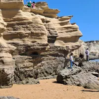 لیدر. تاکسی گردشگری|تور و چارتر|چابهار, |دیوار