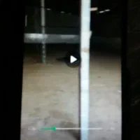 سوله کرج چهارباغ خیابان دهکده ورزش 675 متر|فروش دفتر صنعتی، کشاورزی، تجاری|چهارباغ, |دیوار