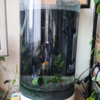 معاوضه یا فروش آکواریوم  نیمه استوانه   پشت تخت