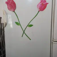 فریزر فیلور