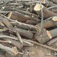 خریدار چوب|خدمات باغبانی و درختکاری|سنقر, |دیوار