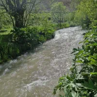 تور فشم زیبا بانوان