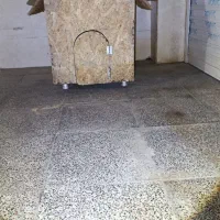 لونه حیوان