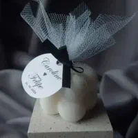 تن دیس|مجسمه، تندیس، ماکت|تربت جام, پارک جنگلی|دیوار