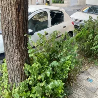 یک واحد زیرزمین ۳۵ متری