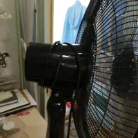 پنکه|پنکه و تصفیهکنندهٔ هوا|رشت, استادسرا|دیوار