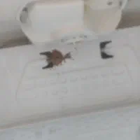 یخچال|یخچال و فریزر|زرندیه, |دیوار