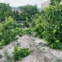 باغ ویلا روستای قز