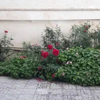 فروش ویلایی دوطبقه خ کبودوال کوچه آبشار۴/۱|فروش خانه و ویلا|علی‌آباد کتول, |دیوار