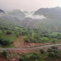 طبیعت گردی،