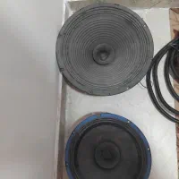 دو عدد باند