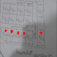 زمین تجاری بلوار ۳۰ متری گلسرا