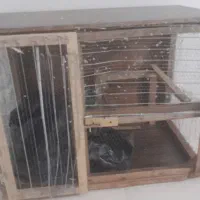 قفس چوبی|لوازم جانبی حیوانات|بندرعباس, |دیوار