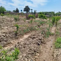 زمین ۳۰۰ متر فیروز بهرام|فروش زمین و ملک کلنگی|چهاردانگه (تهران), |دیوار