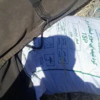 کود
