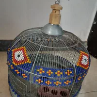 قفس بزرگ طرقه