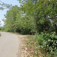 زمین-مسکونی-فروشی