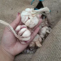 سیرتازه پارس آباد