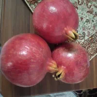 انار درجه یک صورتی|خوردنی و آشامیدنی|قم, شهرک فاطمیه|دیوار