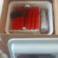 دستگاه جوجه کشی ایزی باتور 2 ، باظرفیت 96 عددی|لوازم جانبی حیوانات|املش, |دیوار