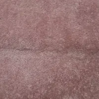 پالاز موکت