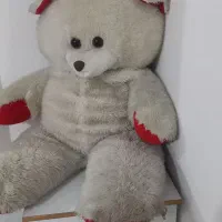 شاسخین عروسک خرسی