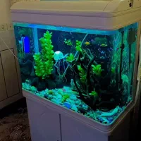 اکواریم شرکتی شیشه خم