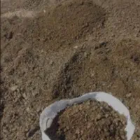 فروش کود حیوانی درجه یک|خدمات باغبانی و درختکاری|ساوه, |دیوار