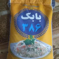 برنج پاکستانی بابک