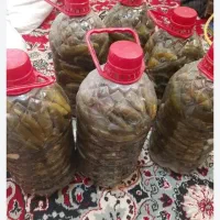 خیار شور۱۷۰|خوردنی و آشامیدنی|دره شهر, |دیوار