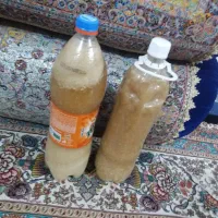 دو عدد ابلیمو