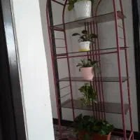 استندگل یا کتابخونه