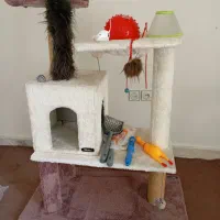 لوازم نگهداری حیوانات خانگی ( گربه )