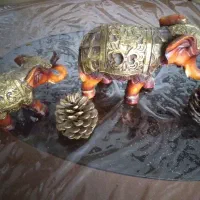 تور گردشگری