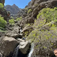 زمین ابی کشاورزی