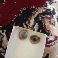 مهره اصل|جواهرات|تربت‌حیدریه, شهرک ولیعصر|دیوار