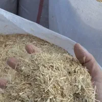 فروش کاه امسال