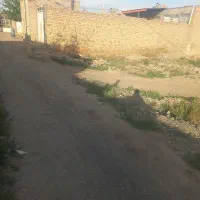 قطعه زمین متراژ۱۰۰|فروش زمین و ملک کلنگی|نیشابور, ده حلاج|دیوار