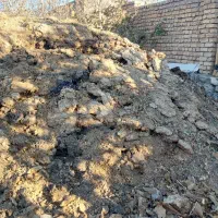 کود حیوانی|خدمات باغبانی و درختکاری|داران, |دیوار