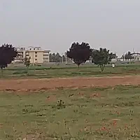 زمین-سند-ششدانگ-جاده-صومعه-پشت-خوابگاه-دانشگاه