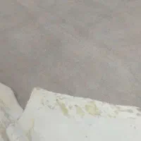 پالاز موکت|موکت|همدان, |دیوار