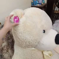 عروسک بزرگ خرس ولنتاین|اسباب‌‌بازی|تهران, کرمان|دیوار