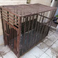 قفس|لوازم جانبی حیوانات|حمیدیا, |دیوار